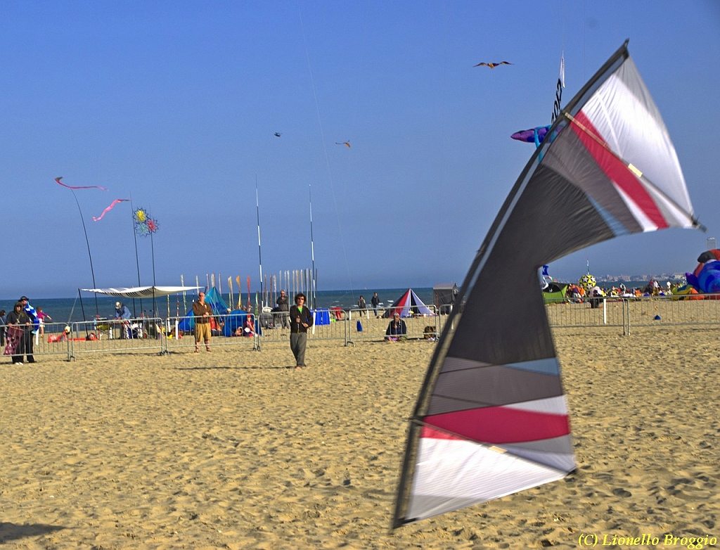32 FESTIVAL CERVIA 2012 - 148.jpg